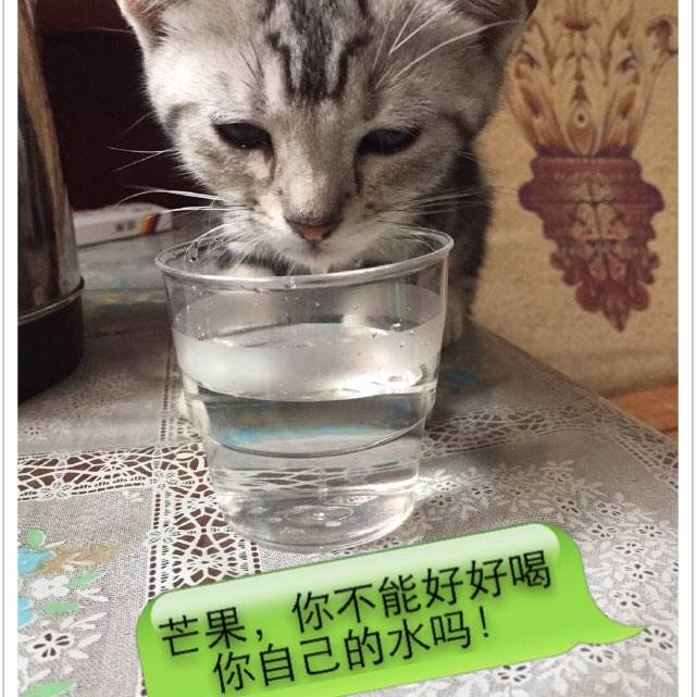 购买注册币库的日本KYC认证资料